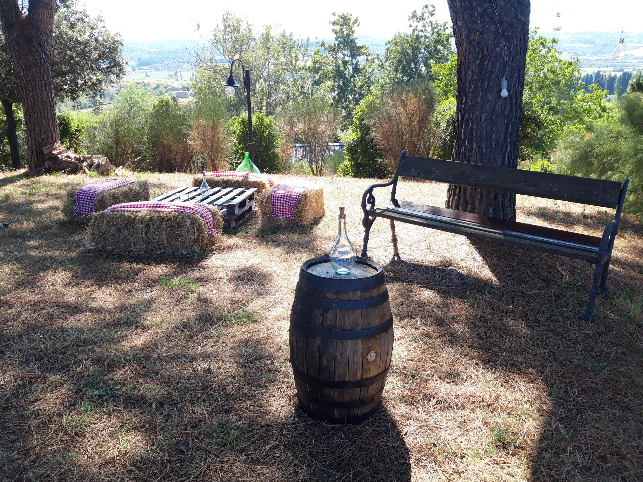 IL CIGLIERE DEL RUSTICO AZIENDA AGRICOLA (10)